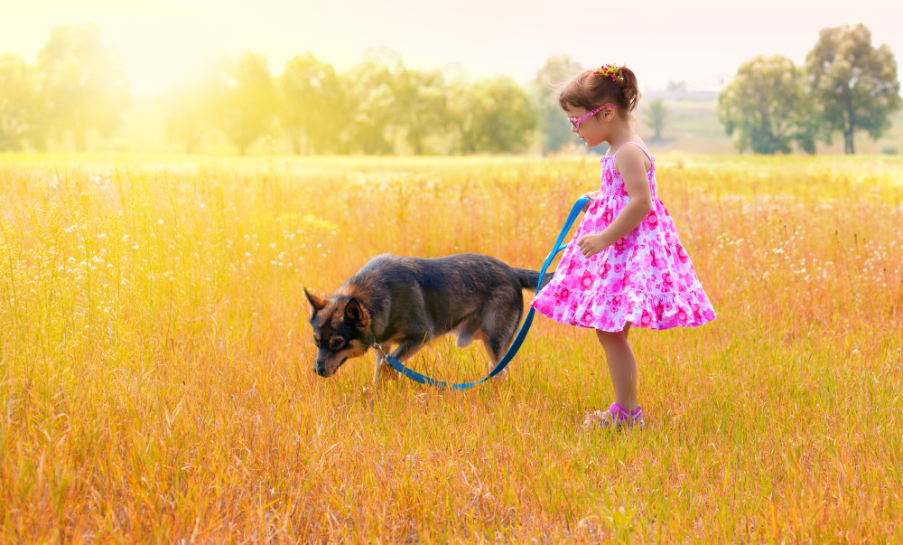 Dog Names That Mean Light Nameberry