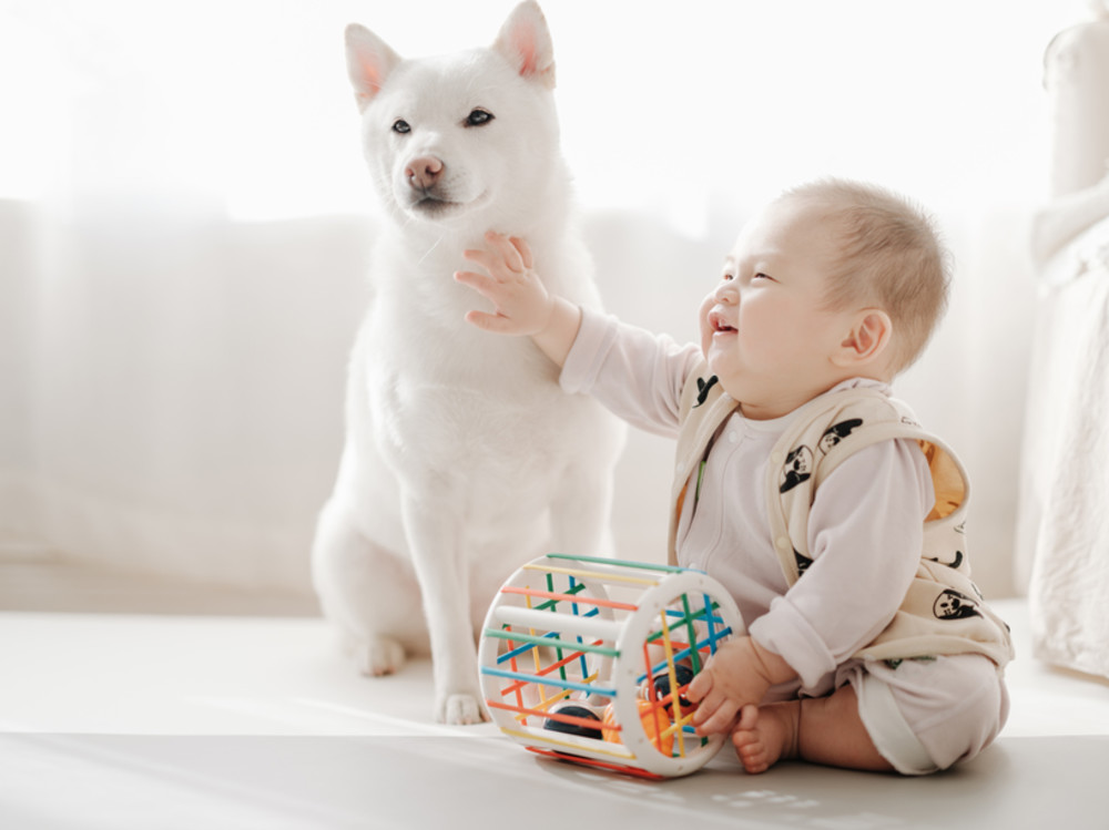 Baby Boy Names That Mean Guardian Angel