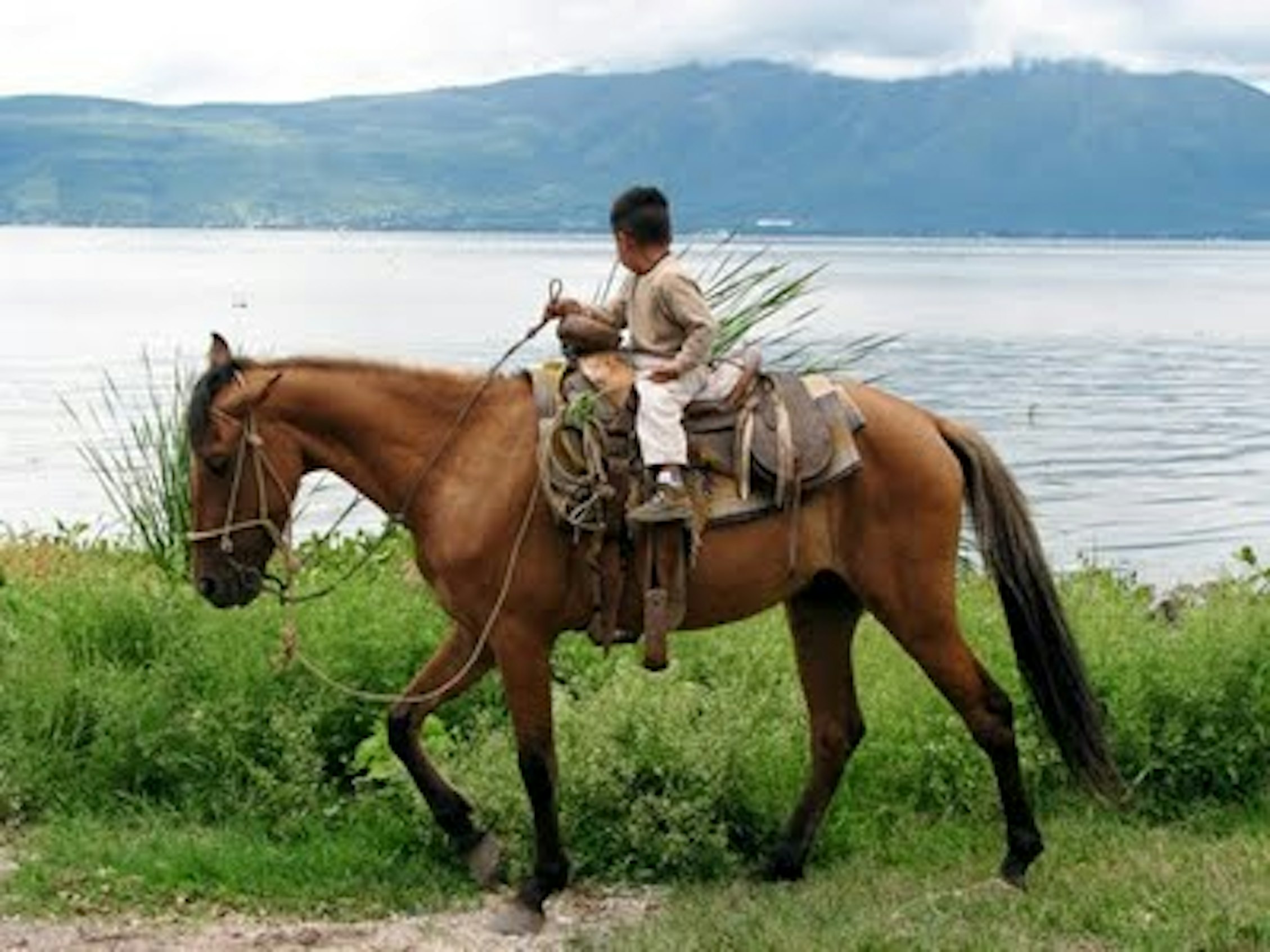 nameberry-picks-best-cowboy-names-nameberry