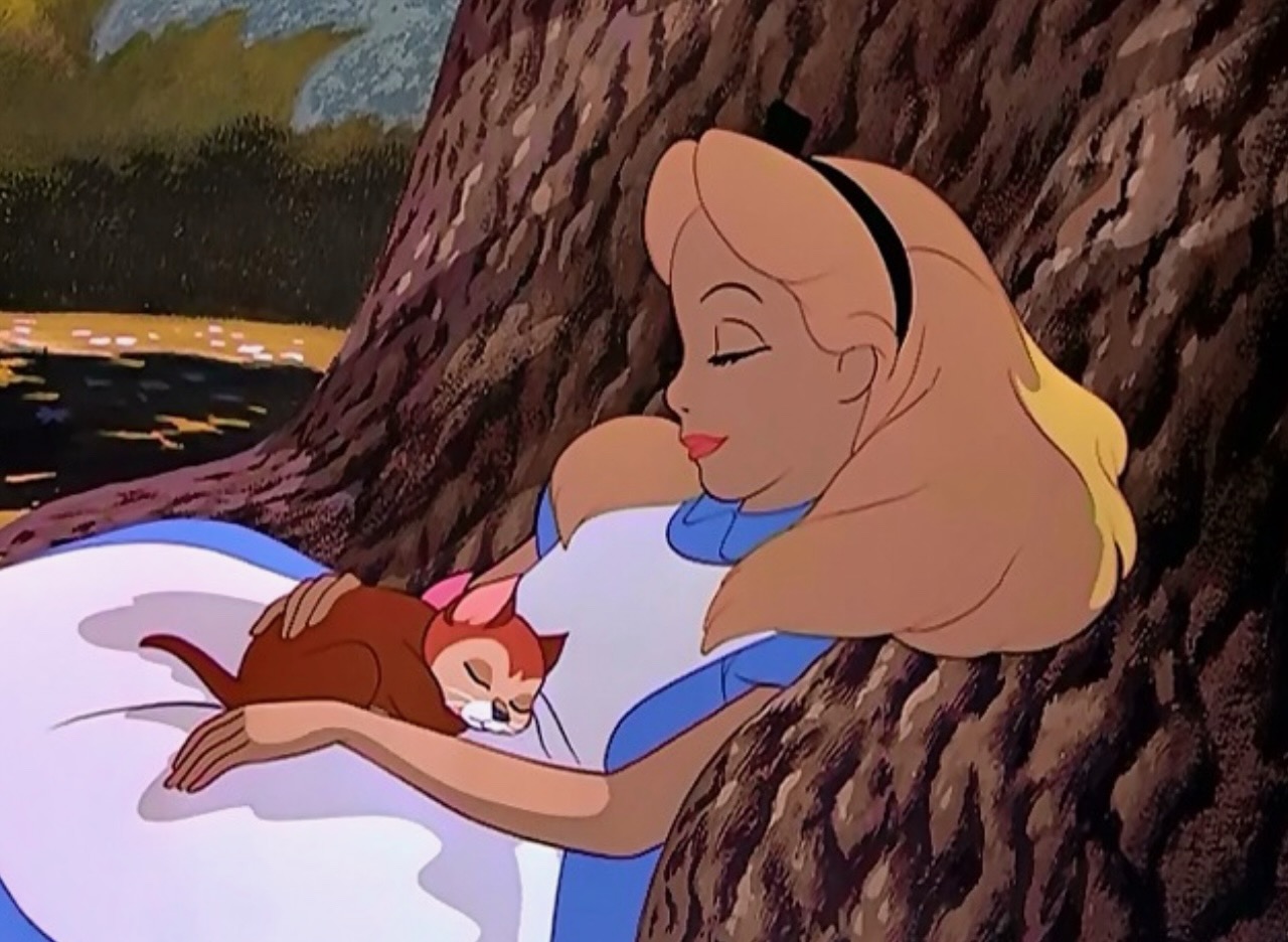 Literary Cat Names Page 10 Nameberry