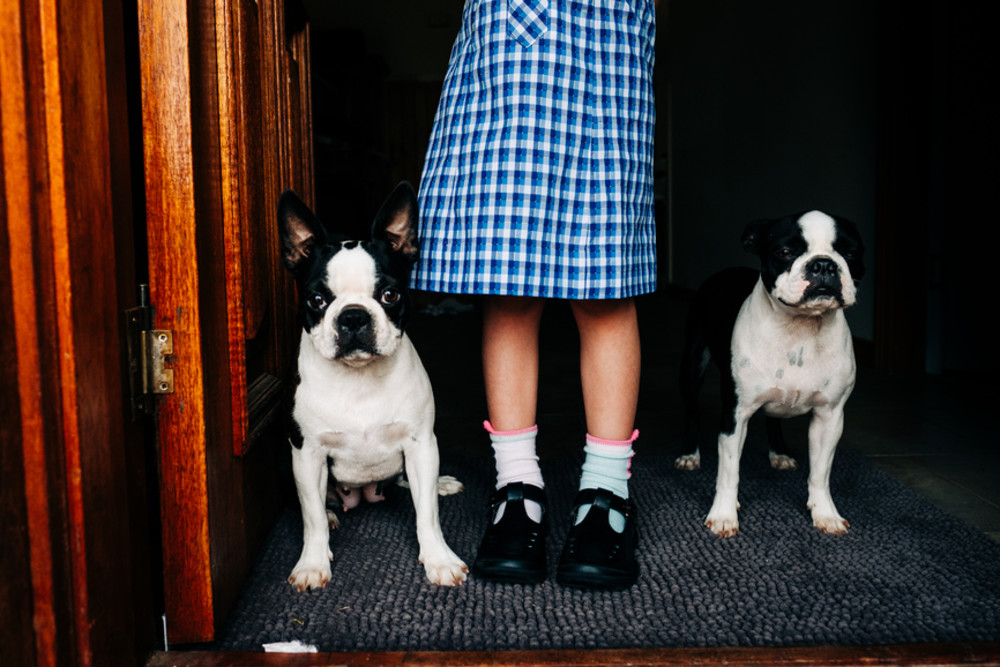 City Dog Names Nameberry